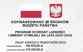 Zakup agregatu prądotw&oacute;rczego 1
