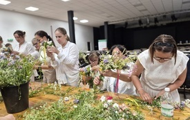 Świętowianki 19