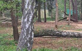 Budowa tężni 5