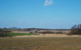 Jezioro obok Pniewa