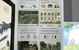 Ekologiczne Studio Edukacyjne 2