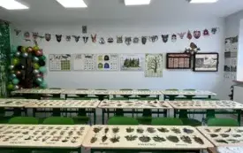 Ekologiczne Studio Edukacyjne 4