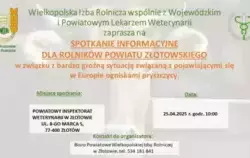 Pryszczyca spotkanie - plakat