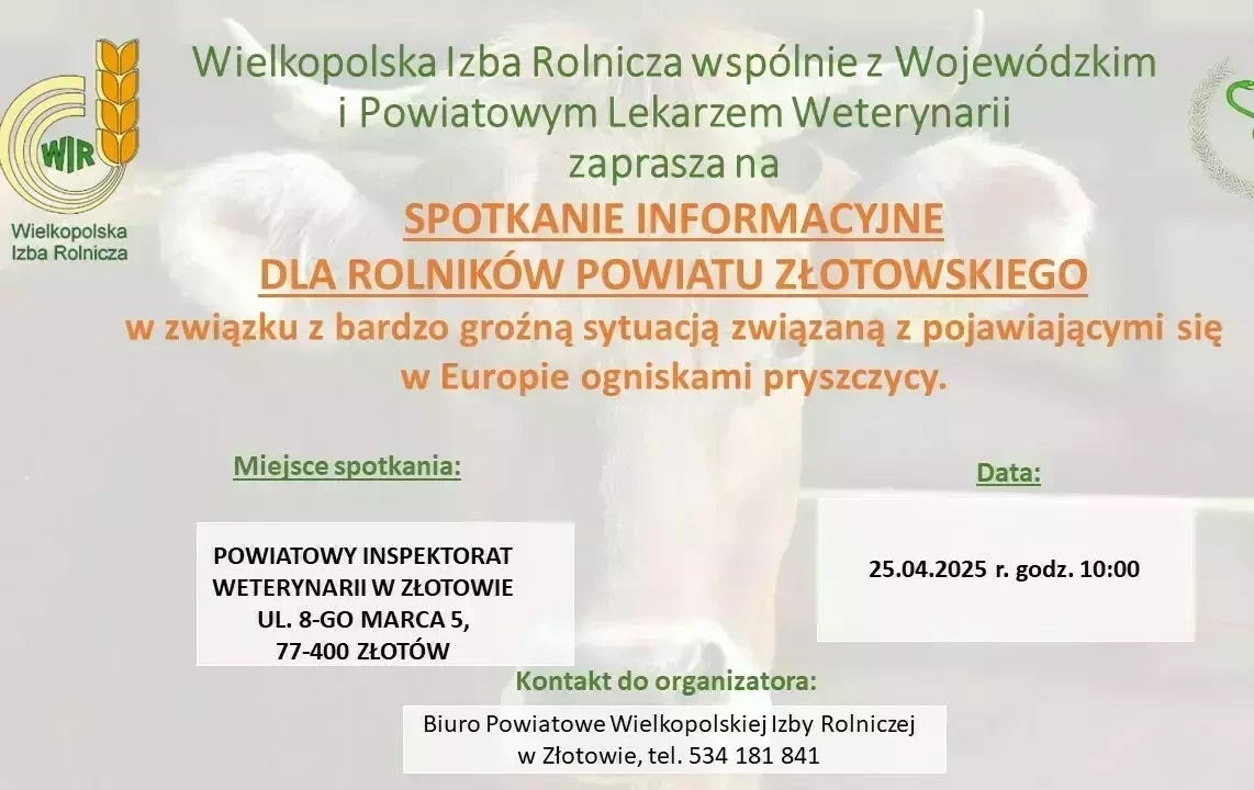 Pryszczyca spotkanie - plakat